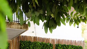 A modern outdoor seating area with a grey sofa and a table, surrounded by a bamboo fence and lush green foliage.