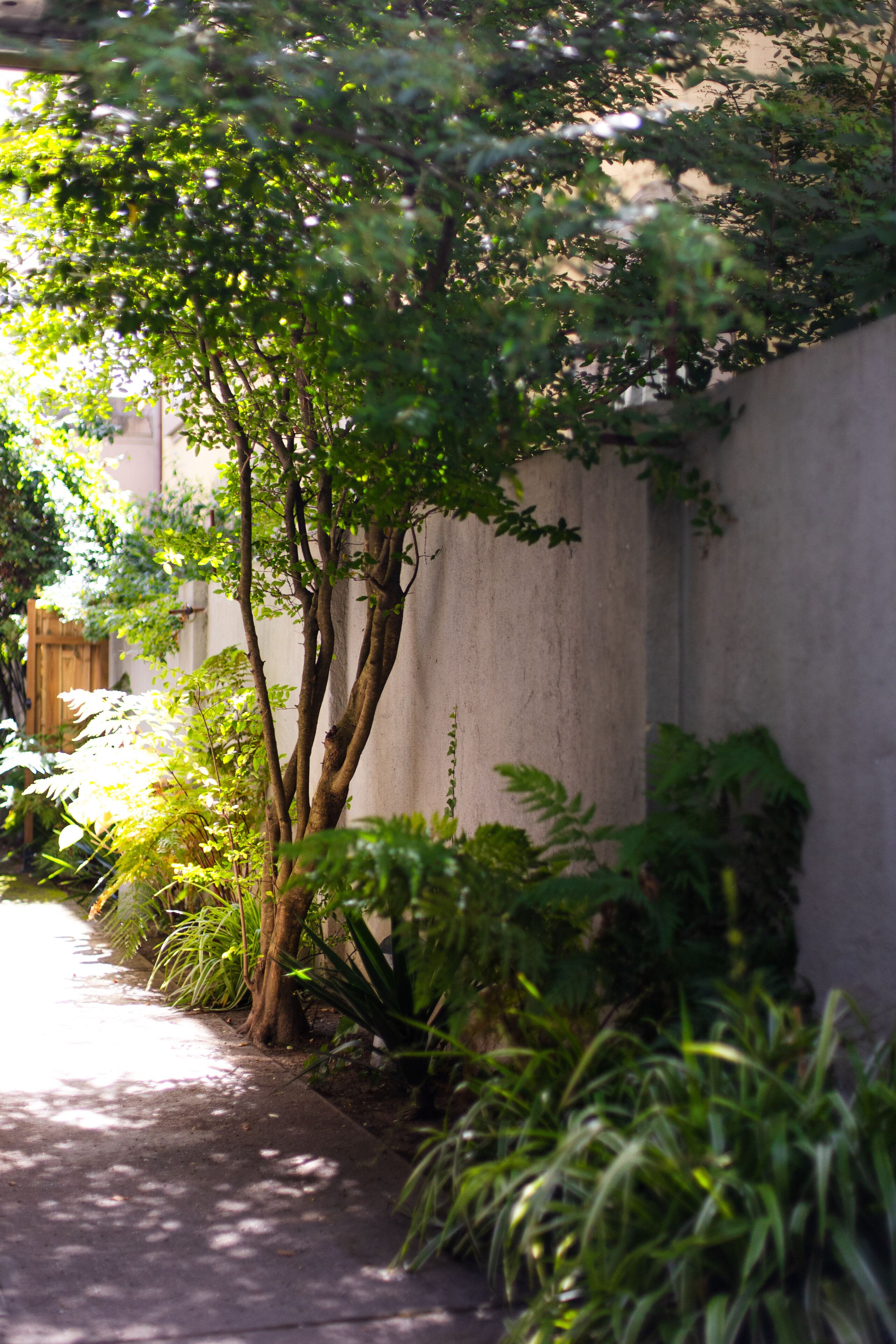 Photo - Casinhas no Carolina - Hostel