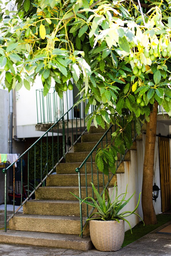 Un escalier avec un pot de fleurs à sa base.
