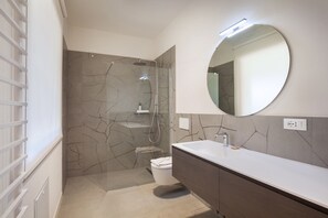 Shower, hair dryer, bidet, towels
