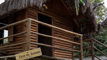 Detalle del exterior