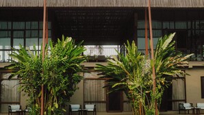 Un edificio con un espacio de estar al aire libre cubierto, plantas grandes y un camino que lleva a la entrada.