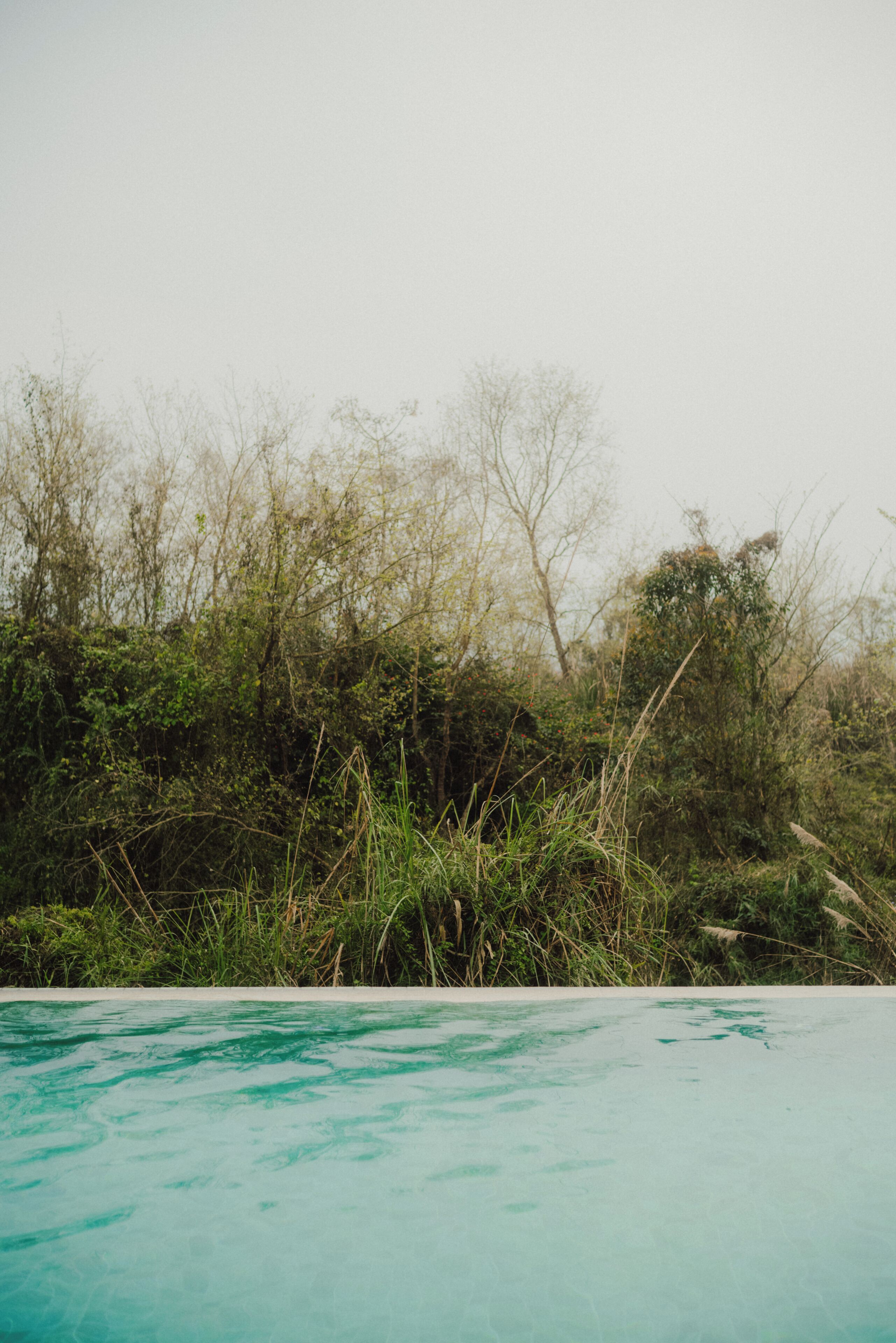 A swimming pool with clear water, surrounded by dense vegetation and trees.