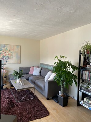 Smart-TV, bøker, PC-skjermer og printere