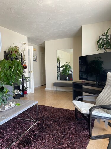 Monthly room for rent (only ladies accepted)