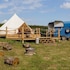 Bell Tent - in a Glorious Devon Vineyard