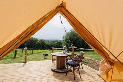 Bell Tent - in a Glorious Devon Vineyard