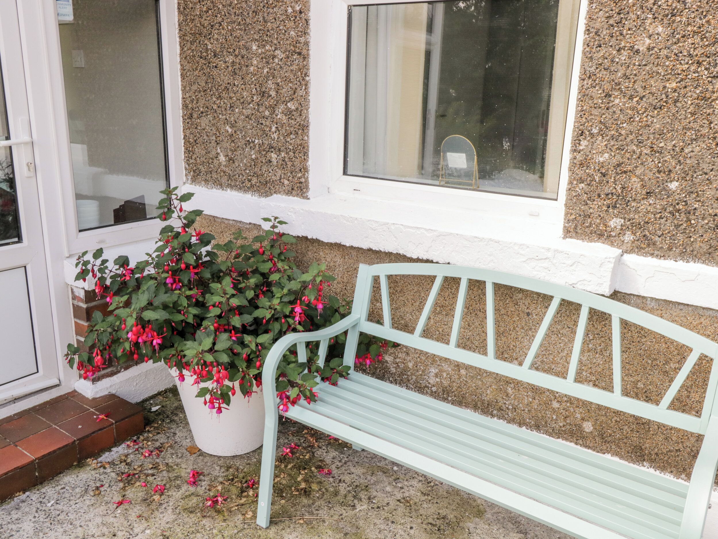 A bench and a potted plant with red flowers next to a building with a textured wall and a window.