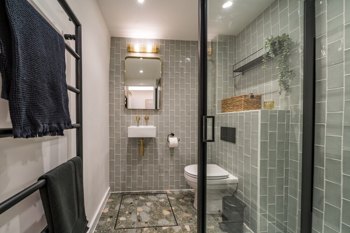 Shower, hair dryer