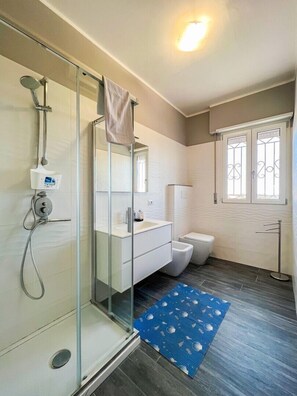 Shower, hair dryer, towels