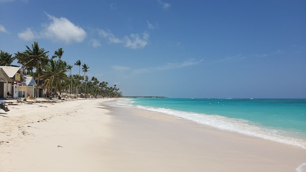 Ein Strand mit blauem Himmel, Palmen und sandigem Ufer.