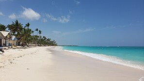 Une plage avec un ciel dégagé, des palmiers et une rive sablonneuse.