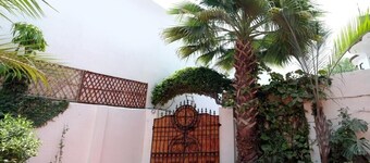 The Nature House Amritsar - Entire House - 4.4 KMs from The Golden Temple