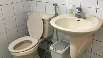 Shower, hair dryer, shampoo, toilet paper