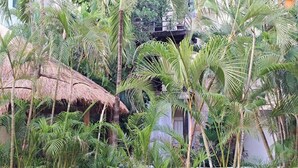 Exclusive Studio | Property grounds - magic paradise (Playa del Carmen)