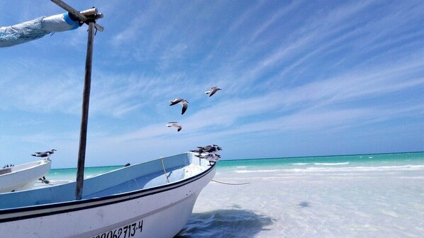 Beach - magic paradise (Playa del Carmen)