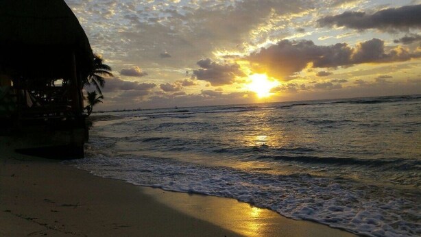 Apartment | Property grounds - magic paradise (Playa del Carmen)