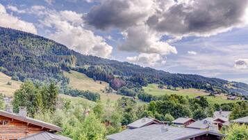 Un paysage montagneux parsemé de chalets et de maisons en bois.