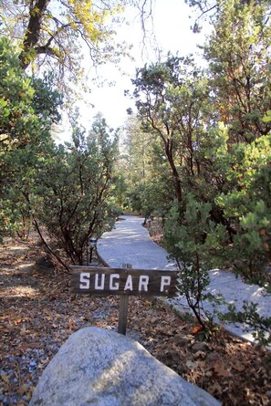 Overnattingsstedets uteområder