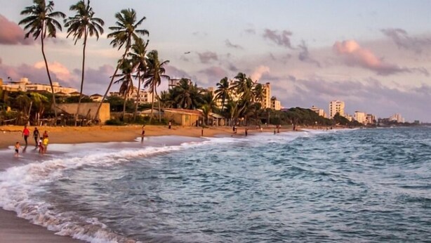Una playa con palmeras y edificios al fondo.