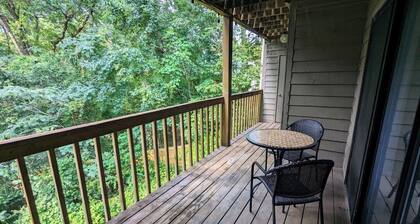 Cozy, remodeled condo on the Saluda River near downtown Columbia and the Zoo