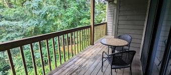 Quiet Corner Unit with Deck Overlooking the Saluda River