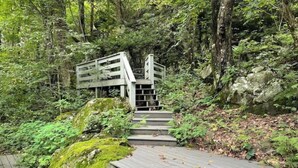 A wooden staircase leading up to a metal gate in a forested area. - Fox'em Falls (Roseland)