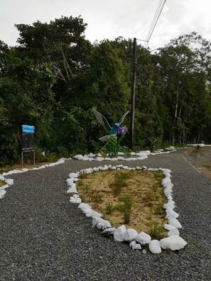 Property grounds - Linda Casita Near Parque del Lago (Nuevo Arenal)