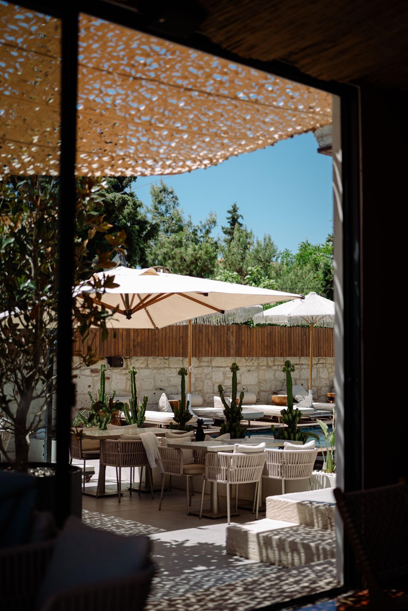 Un espace extérieur aménagé en terrasse, avec des tables, des chaises, des parasols et des cactus.