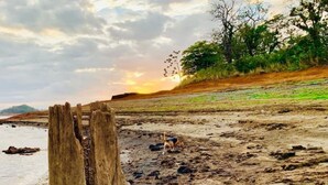 Une plage avec un poteau en bois usé par les éléments, un chien et un coucher de soleil en arrière-plan.