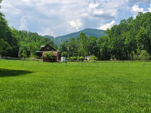 Property grounds - The River Gem 3 King beds/2 baths (Franlin)