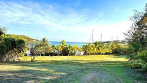 A grassy area with palm trees and a clear blue sky. - Pearl Cove Casita @ Dixon Cove (Dixon Cove)