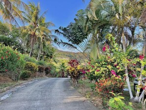 Property grounds - Pearl Cove Casita @ Dixon Cove (Dixon Cove)