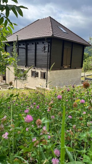 المنطقة المحيطة بالمنشأة