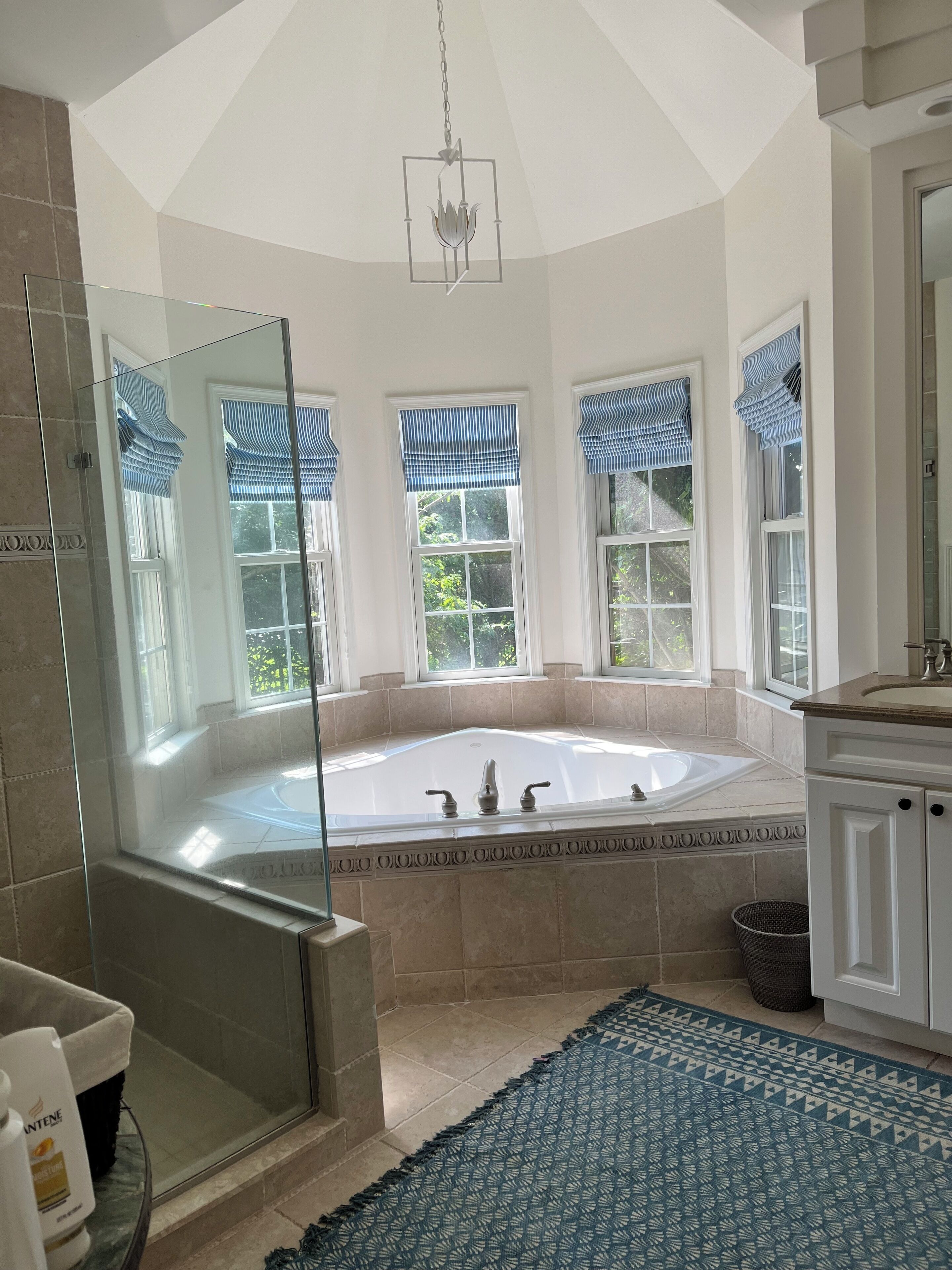Shower, jetted tub, soap, toilet paper