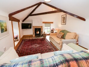 Una sala de estar acogedora con chimenea, un sofá, un televisor y una alfombra estampada.