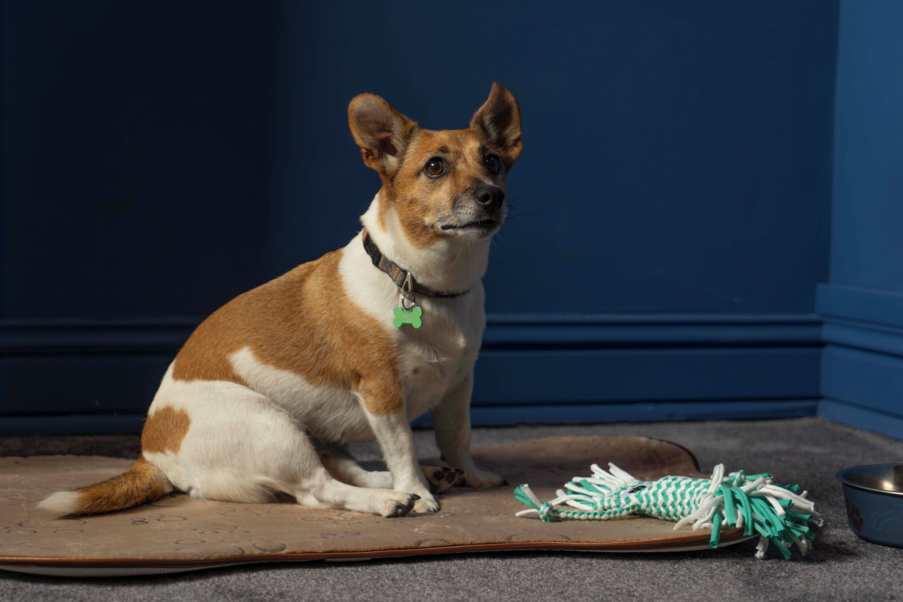 Foto - Maria Luisa by INTROVERT HOTELS