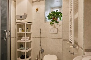 Shower, hair dryer, bidet, towels