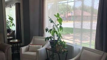 Un salon avec deux fauteuils, une table basse et une plante en pot.
