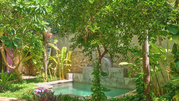 A serene garden with a small pool, lush greenery, and a stone wall. - Cozy house & secret garden with pool in Centro (Centro)