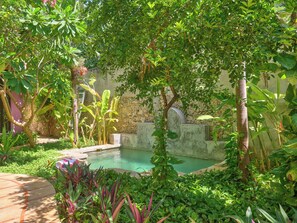 A serene garden with a small pool, lush greenery, and a stone wall. - Cozy house & secret garden with pool in Centro (Centro)