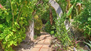 A garden pathway surrounded by lush greenery and various plants. - Cozy house & secret garden with pool in Centro (Centro)