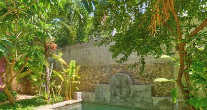 Cozy house & secret garden with pool in Centro