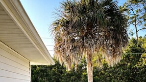 A wooden deck with two green chairs and a small table, surrounded by potted plants and a tall palm tree. - Naples Art District (Naples)
