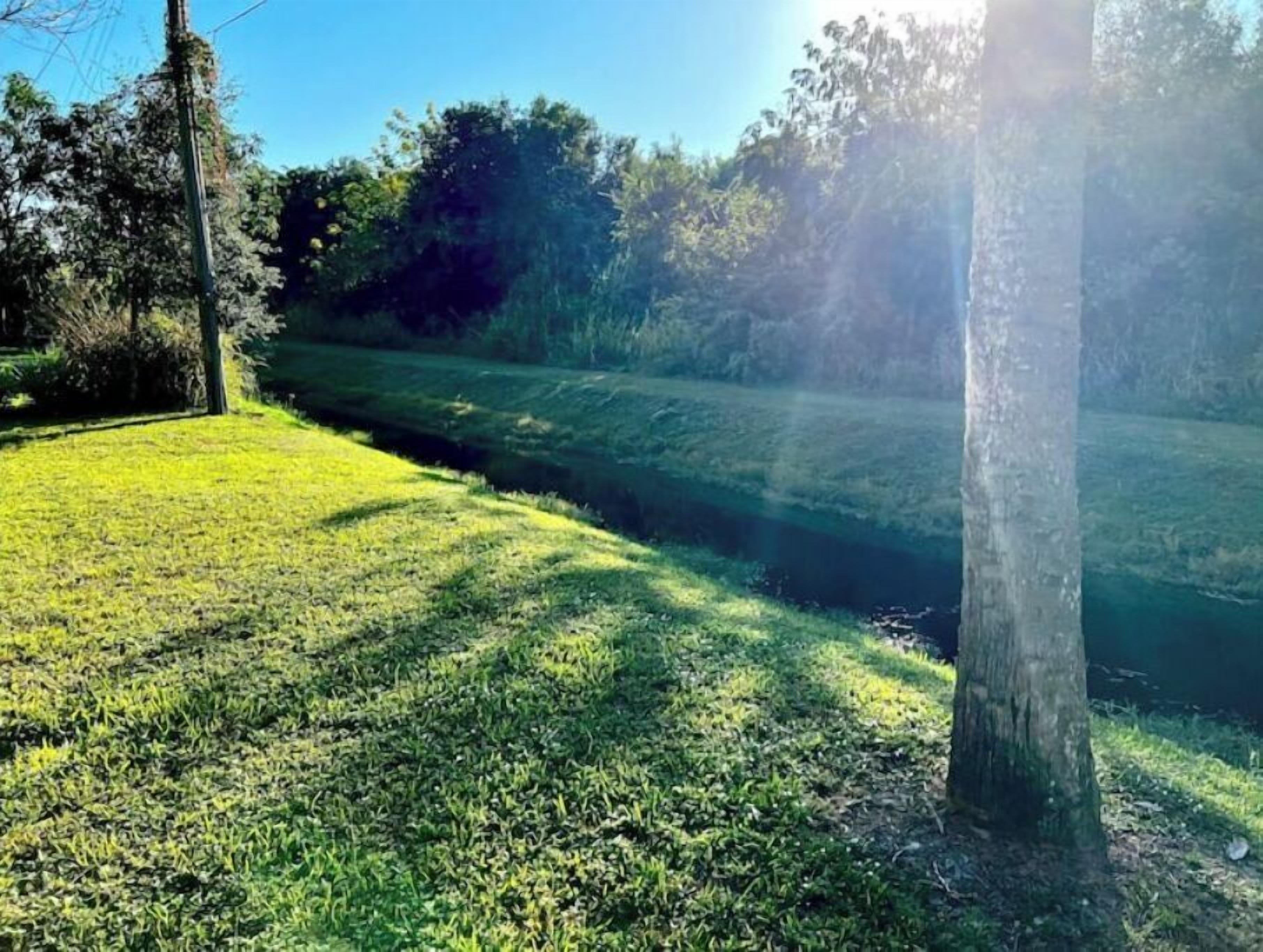 A grassy area with a tree and a clear sky.