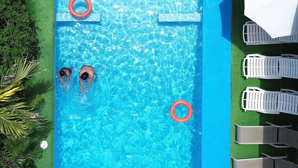 An aerial view of a rectangular swimming pool with two lifebuoys, surrounded by green artificial grass and palm trees. - Hotel Ballena REY (Bahía Ballena)