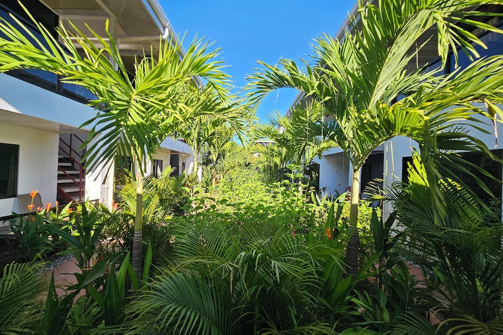 Hotel Ballena REY