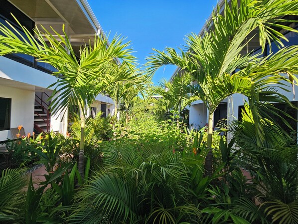 Blick auf den Garten