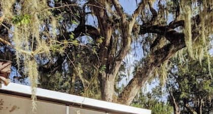 Restored Florida Farmhouse on an Orange Grove