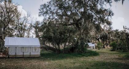 Glamp in a Florida Orange Grove "Magnolia" Tent